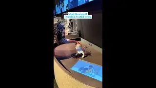 AI More Than Human #shorts