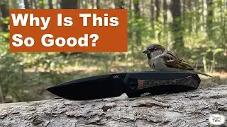 Самолет REK Sparrow определенно заслуживает внимания.