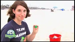 Clean Oceans Project