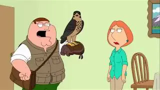 Peter Has a Falcon - Family Guy