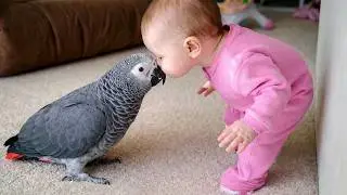 You Won&rsquo;t Believe How Gentle This Parrot Is With A Baby 🥹🦜👶