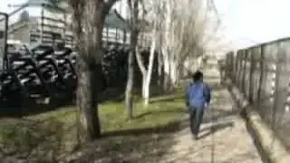 El gran Fanatico