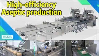 Moon Cake Packaging Machine Installation Demo  | Enhance Your Packaging Machine