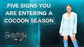 Five Signs You Are Entering a Cocoon Season