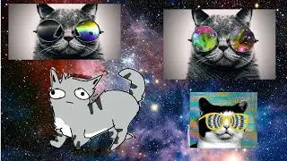 epic gif compilation | super cool gifs