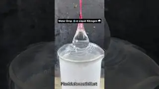 Water Drop 💧vs Liquid Nitrogen 🌧️#Satisfying #Experiment #Science #ASMR #LiquidNitrogen