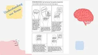 Sending the Right Signals to our Brain