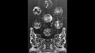 Dwelsinge (US) - Sinister Witching Symphony (Album 2020)
