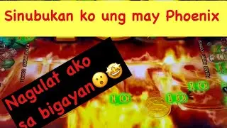 Phoenix Ocean King 3 #oceanking #fishinggames #arcadegame #fypシ #fypyoutube #fypシ゚viral #arcade 