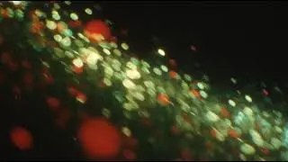 Red Green White Blobs of Light Abstract
