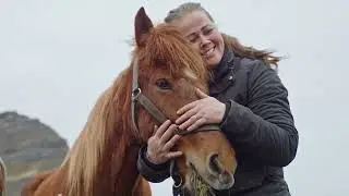 How Iceland&rsquo;s Horses Learned to Type Emails