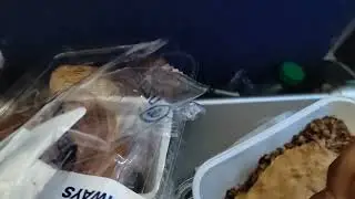 Dubai to Uzbakistan tashkent (787 Uzbekistan Airways) 