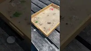 Natural Handmade resin tray 😍