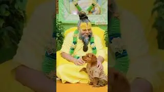 This Puppy&rsquo;s Bhakti Is More Powerful Than Words 🐾✨ #shorts #trending