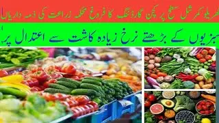 Huge increase in vegetable prices