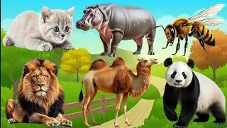 Love The Life Of Cute Animals Around Us: Giraffe, Rhino, Meerkat, Buffalo, Antelope - Animal Sounds