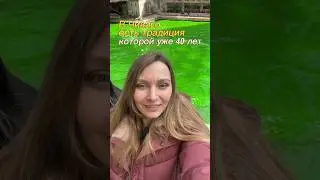 В Чикаго красят РЕКУ в зеленый цвет 🤯 #деньсвятогопатрика