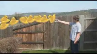 &iexcl;Pollito Iman! - Spanish Project