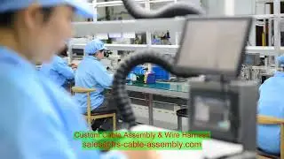 2.5c-2V Cable 75ohm High Quality Electrical Waterproof CCTV BNC Male Crimp Plug RF Coaxial Connector