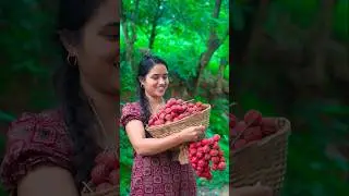 മൂട്ടിപ്പഴം പറിക്കാൻ പോയാലോ... #saranyasbeautyvlogs