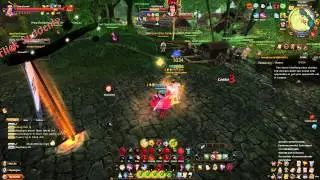 [Age of Wushu] Joined Finger vs. Ancient Flower Prince Set
