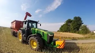 Rzepak 2016 w Kombinacie Rolnym Kietrz!