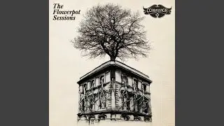 How The Dinosaurs Talk (Live At The Flowerpot, Kentish Town, July 2010)