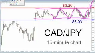 Forex Trader Alert Video