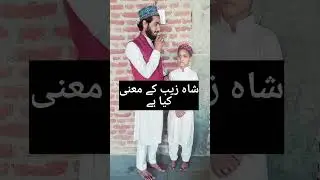 shahzeb nam ke mane kya hai #shortvideo #viralvideo #youtubeshorts