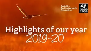 Highlights of our year 2019-20