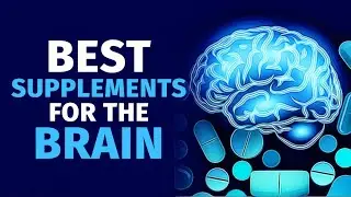 5 Best Supplements For Brain Focus And Memory