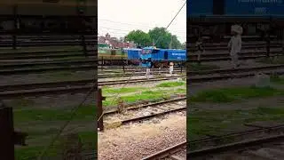 12000 HP of pure power💪 6 WAG-12 India's freight beast🚂  #shorts #wag12 #ytshorts #trending