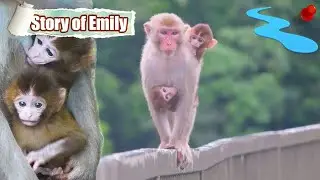 The story of Emily ❤️ I - The trial of twins and motherhood