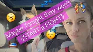 SNEAKY~ISSUES: Narcissists don&rsquo;t respect your sleep 😴 💤 😤 HAVE.YOU.HEARD.ABOUT Willow from Google??😳