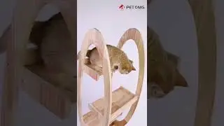 So cute cat tree!-freeship&40%off!#petomg #catfurniture  #rubberwood #cattree