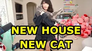 Emiru's New Room Tour