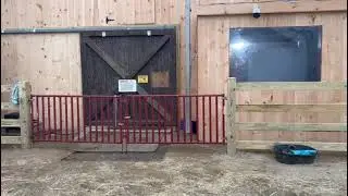 Goldy'sFarmAnimalRescue(by ET)Fencing Upgrade In The Arena