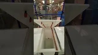 Caswell Anodize Process - Rinse Tank Setup