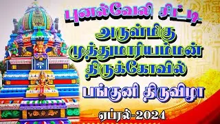 #punalveli #mariyaman #festival #vasantheditz #பங்குனிதிருவிழா #trending #tamilvlogs #2024