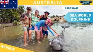 Отзыв о программе «Встреча с дельфинами» в SeaWorld Gold Coast — стоит ли оно того?