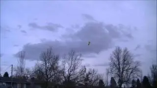 E-Flite Hyper Taxi Successful Flight and Review