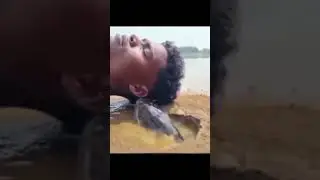 Le fishe 🐟🐟🐟