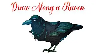 Draw Along - A Raven | Step by Step Art Tutorial | 4K
