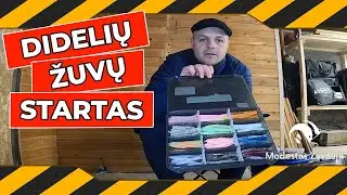 Didelių žuvų startas