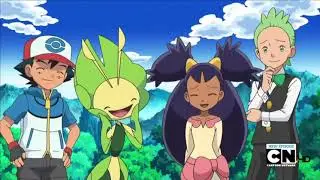 Ash's leavanny dressing other Pokemon