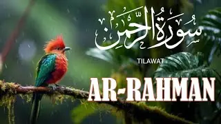 Heart Touching Of-Surah Ar-Rahman Full Tilawat ( سورہ الرحمن ) Kitabullah Sr New Video 2025