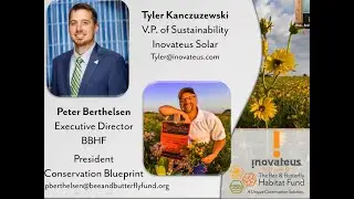The Risks and Benefits of Planting Pollinators at Utility Solar Projects