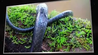 LERIOX || Tv Commercial AD