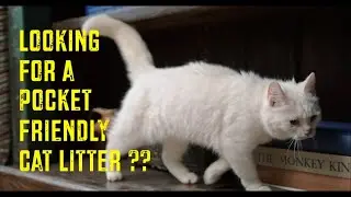 Pocket Friendly, Flushable and 100% Natural Cat Litter - Pine Wood Cat Litter