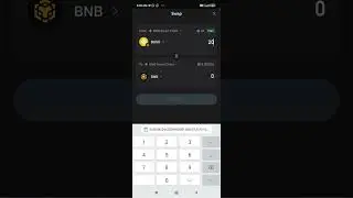 How to Swap BUSD To BNB | BUSD ko BNB Me Kaise Swap kare